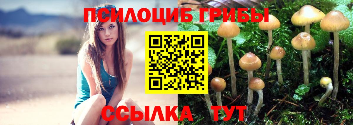 Галлюциногенные грибы Cubensis  Псилоцибиновые грибы Cubensis  Вход с VPN  Орск 